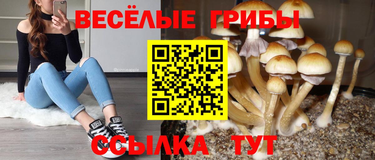 Псилоцибиновые грибы ЛСД Корсаков