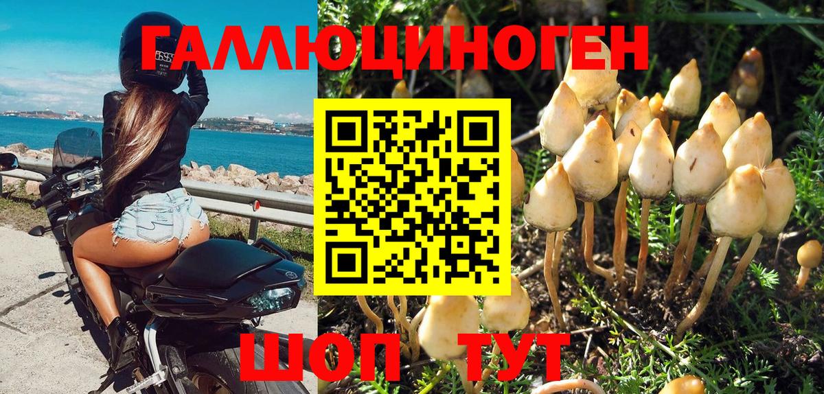 Псилоцибиновые грибы ЛСД  купить  сайты  Корсаков  Псилоцибиновые грибы Cubensis  Вход с VPN 