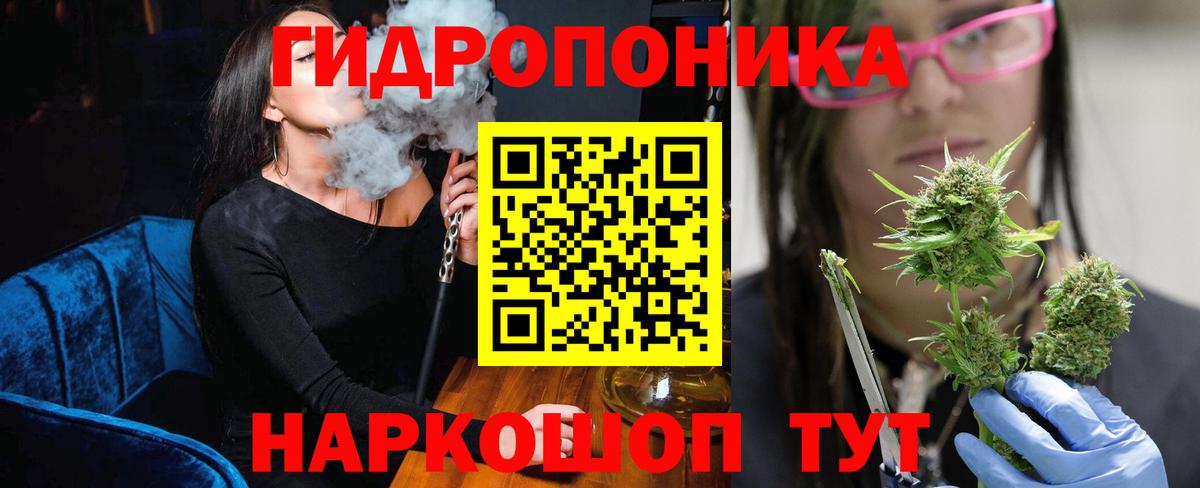 Бошки марихуана Bruce Banner  Конопля White Widow  Вход с VPN  Корсаков  Канабис сатива 